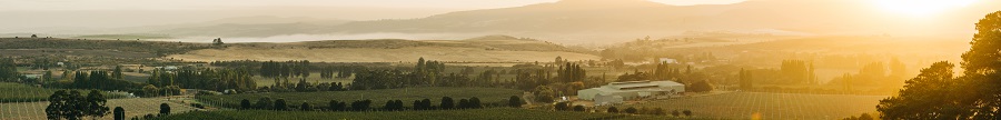 Thumb-HPA-Tasmania-Pre-harvest_Adam-Gibson.jpg