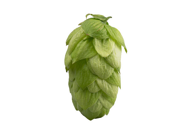 gallery-hops-product-cascade-01