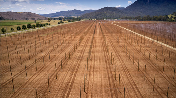 virtual-harvest-2022-Toward-a-carbon-neutral-future-of-beer